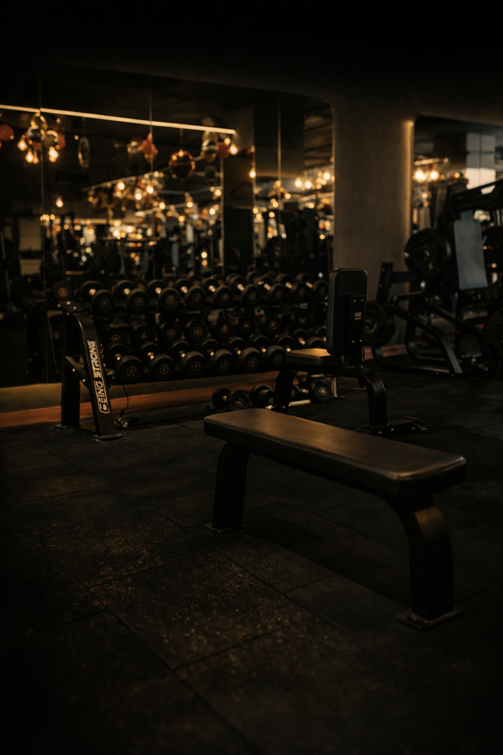 Ultra Luxury Gym